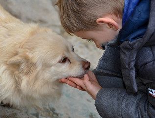 câlin chien enfant