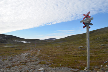 Fototapeta premium Wooden pole with trail marks on a mountain slope, subarctic mountains, Swedish Lapland