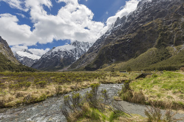 milford road along cleddau valley with the view of fiordland nat