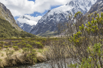 The Chasm (Fiordland, South Island, New Zealand)