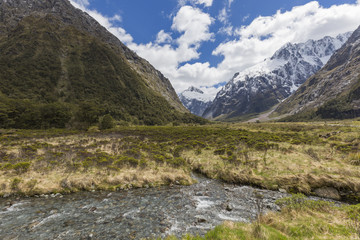 milford road along cleddau valley with the view of fiordland nat