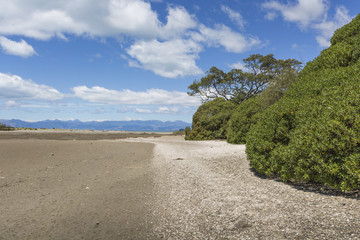 Calm seas of the Abel Tasman National Park, South Island, New Ze