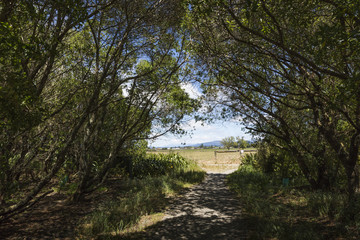 Motueka landscape near Abel Tasman National Park, South Island,