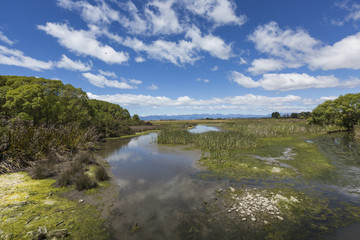 Motueka landscape near Abel Tasman National Park, South Island,