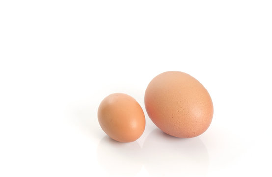 Eggs / Brown eggs placed on white background.