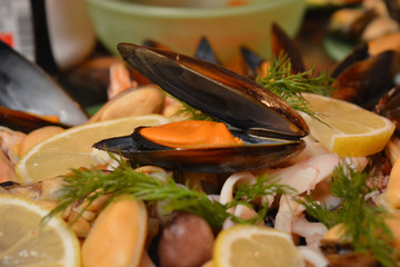 Cocktail of seafood mollusk, mussel, octopus, Prawn and squid
