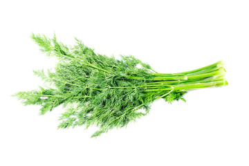 Bunch of fresh dill Isolated on white