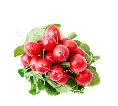 Fresh red radishes isolated on white