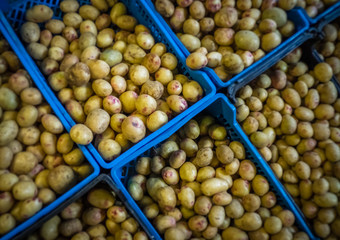 Potatoes on sale