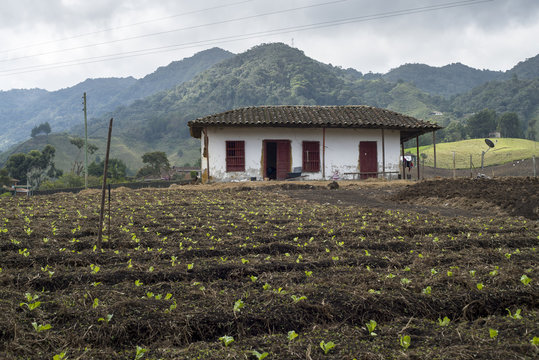 casa campesina