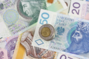 polish currency zloty background