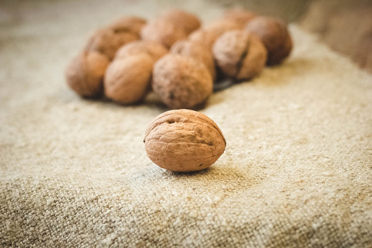 Walnut