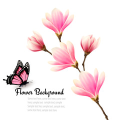 Fototapeta premium Nature background with blossom branch of pink flowers and butter