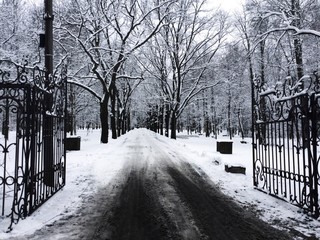 walk in winter wonderland