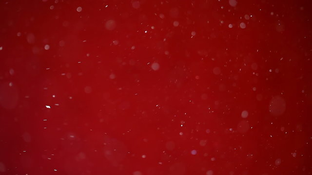 Flying dust particles on red background, loop-ready 1080p