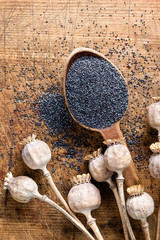 poppy seeds