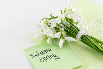 Fresh snowdrops bouquet with a note