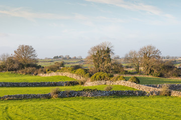 Cloughanover Pastures