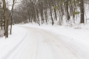 Winter Road In Woods