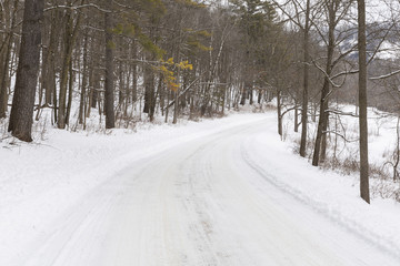 Obraz premium Winter Road In Woods