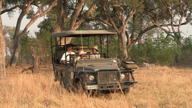 Young couple on game drive vehicle on safari in Botswana,Africa