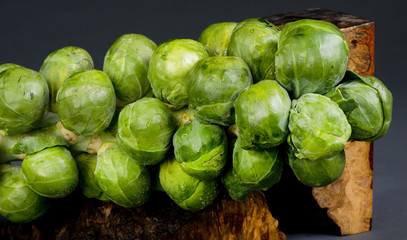 Fototapeta premium Fresh Brussels Sprouts.