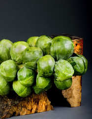 Fresh Brussels Sprouts.