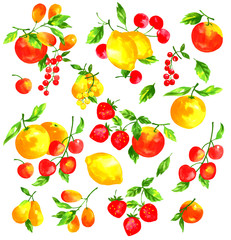 フルーツを水彩画で