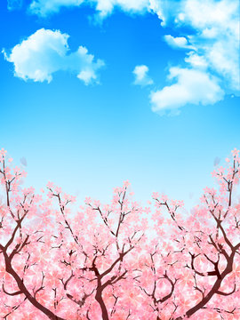 桜　春　花　背景