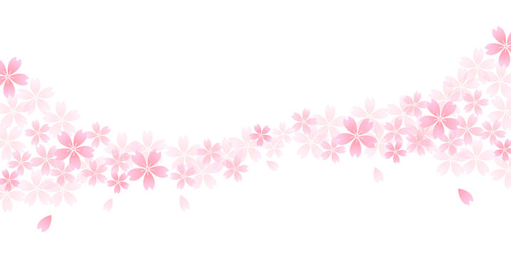 桜　春　花　背景