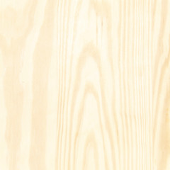 Texture of wood background closeup