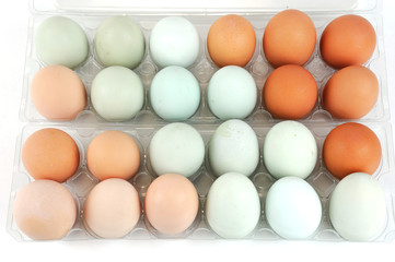 different color chicken eggs in container