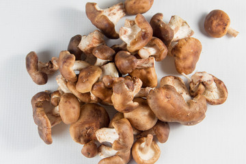 shiitake mushrooms