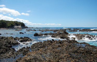 Rocks at low tide ocean coast