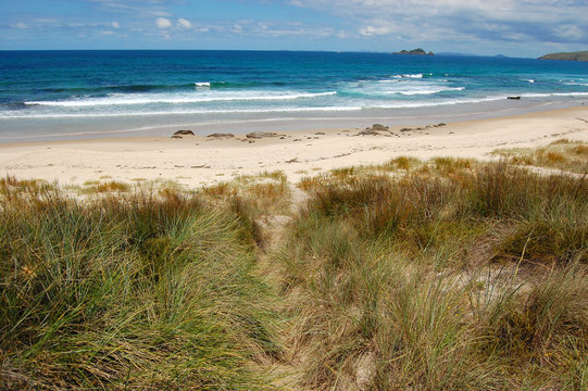 White sand beach sea coast in outback of New Zealand