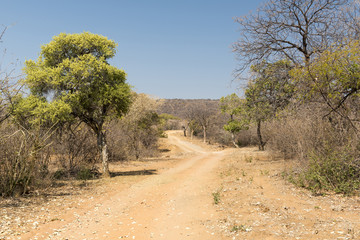 Fototapeta premium Botswana Desert Road