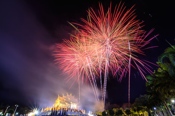 blur fireworks festival  in the night sky
