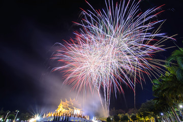 blur fireworks festival  in the night sky