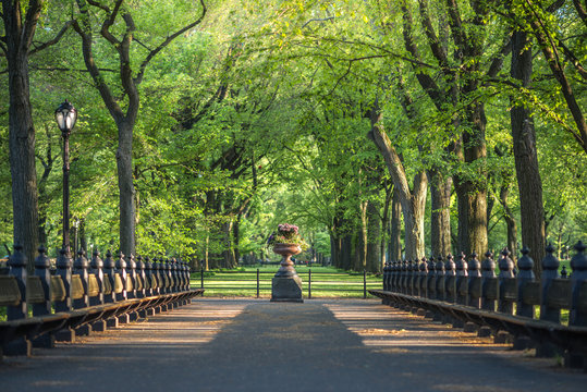 Central Park. Image Of The Mall Area In Central Park, New York City, USA