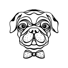 Dog with a bow isolated on white background