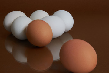 Egg, brown and white Chicken Egg.