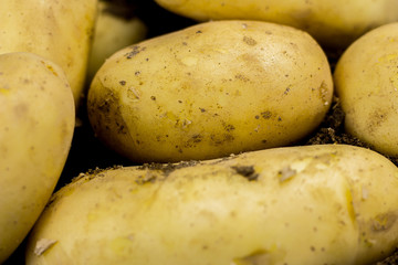 Sweet oraganic potato background