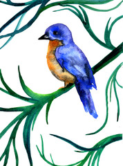 Bird on tree branch aquarelle