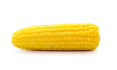 ears of Sweet corn isolated on white background