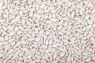 Close up picture of sunflower seeds, food background