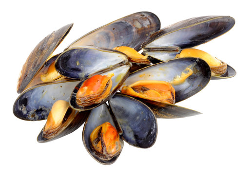 Freshly Cooked Mussels