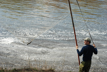 Man fishing in the swirling river. Caught perch.