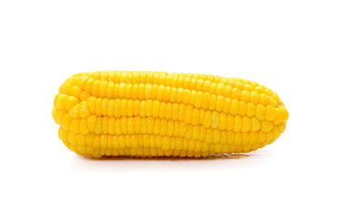 ears of Sweet corn isolated on white background