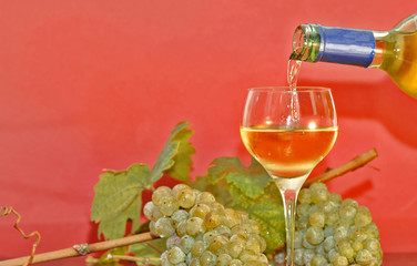 frische helle Weintrauben mit Glas und Flasche