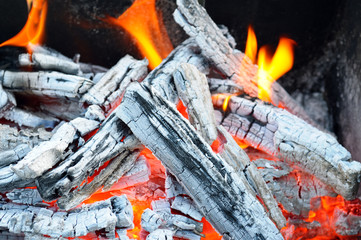 bonfire, fire, wood coal and ash